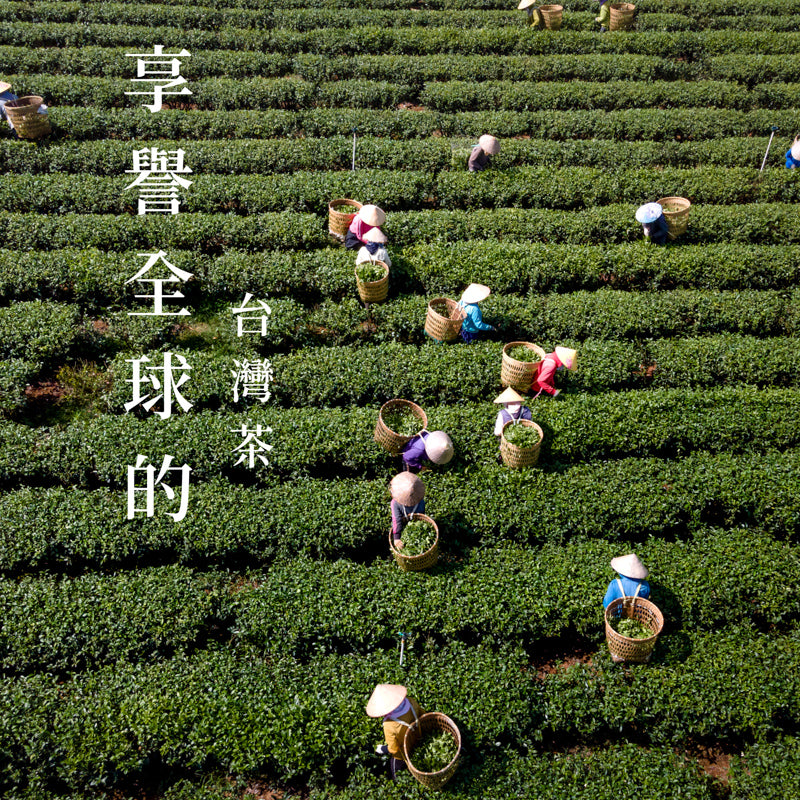享譽全球的台灣茶故事